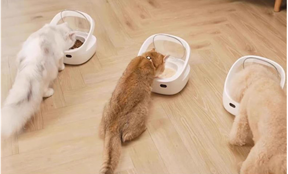 Smart Anti-Theft Pet Feeder