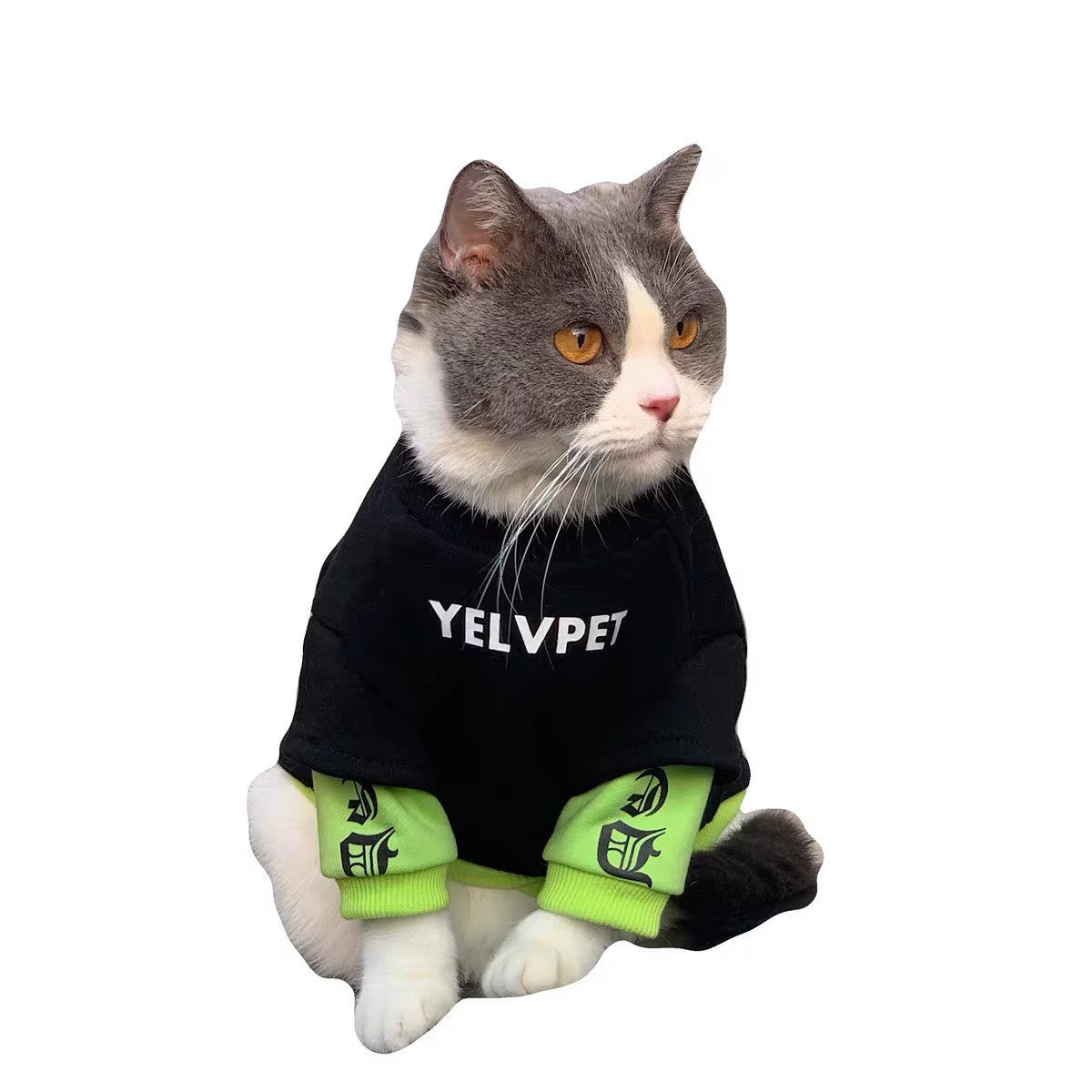Pet Winter Clothes