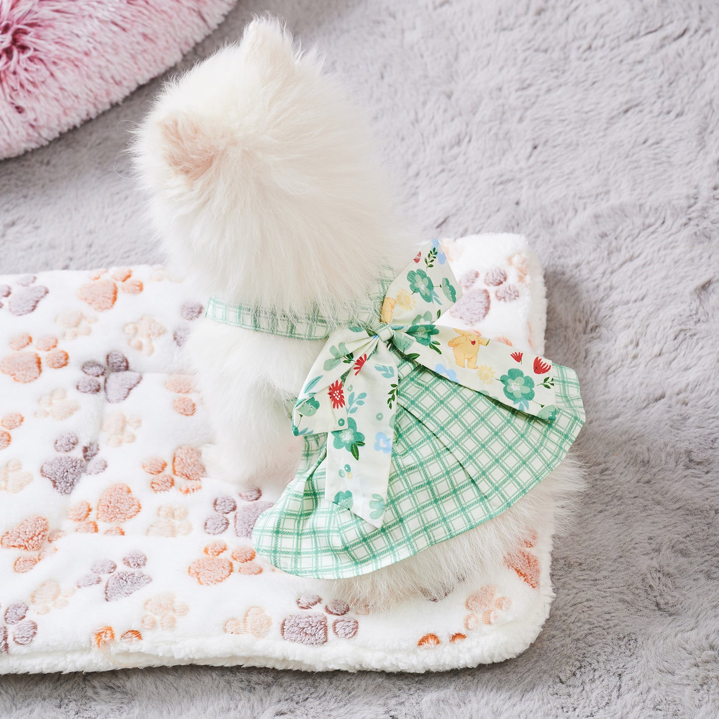 Summer Small Dog Outfit