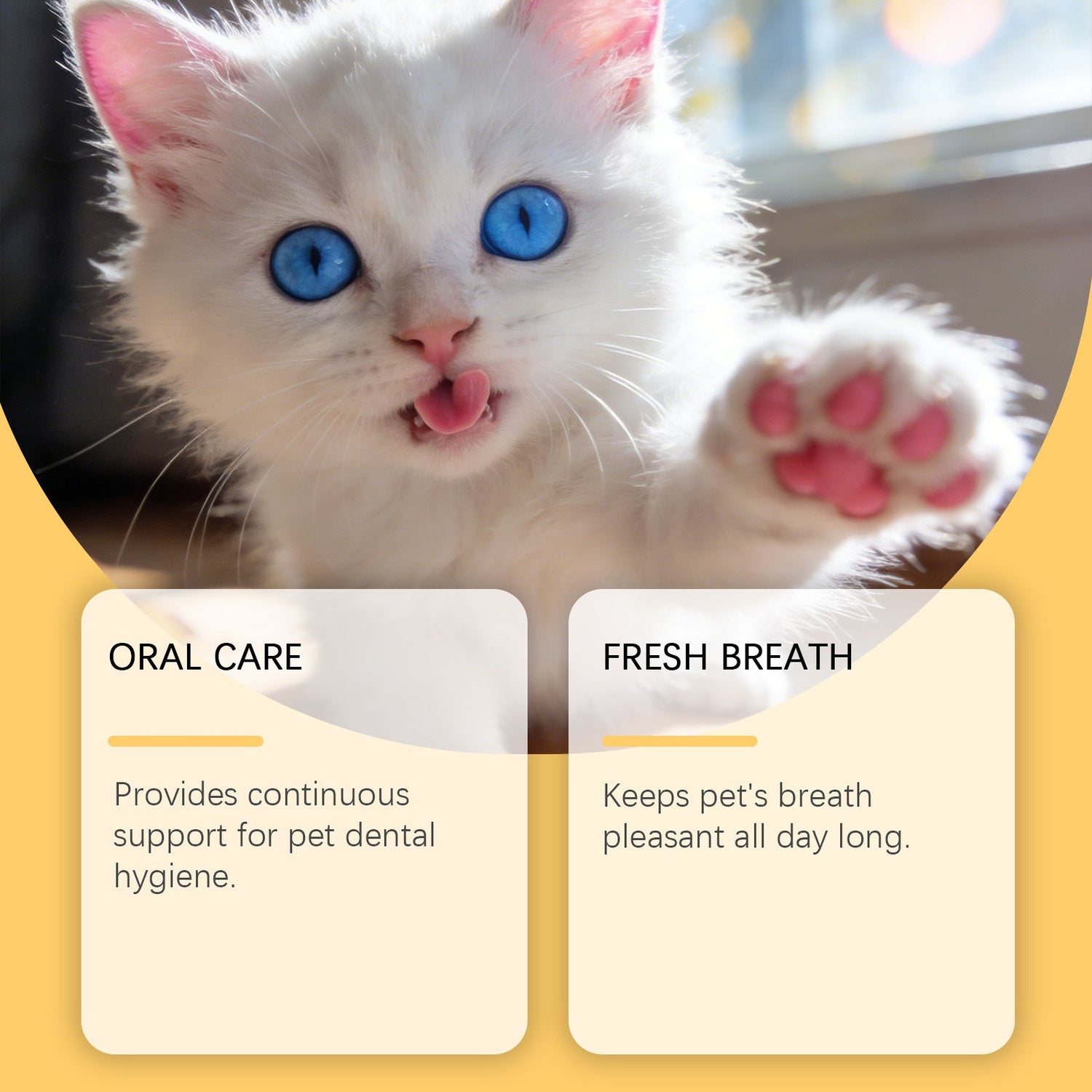 Pet Shampoo