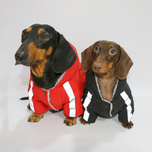 Reflective Winter Pet Suit