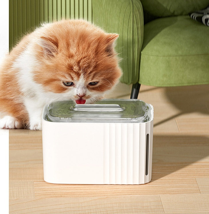 Avocado Pet Water Fountain