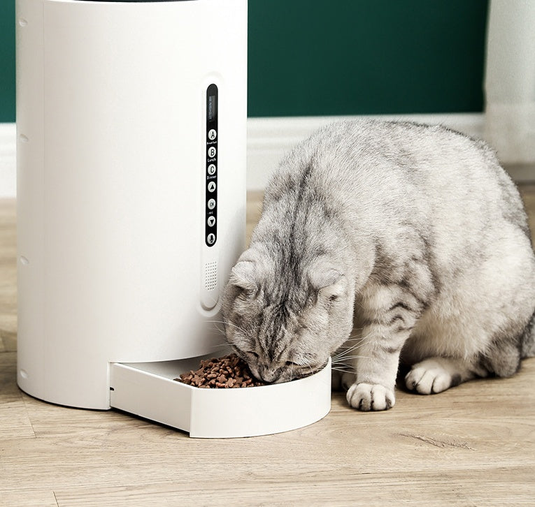 Smart Pet Feeder Timer