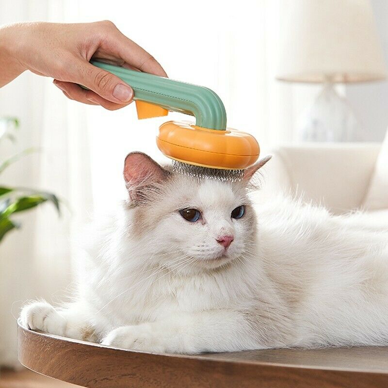 Pumpkin Pet Slicker Brush
