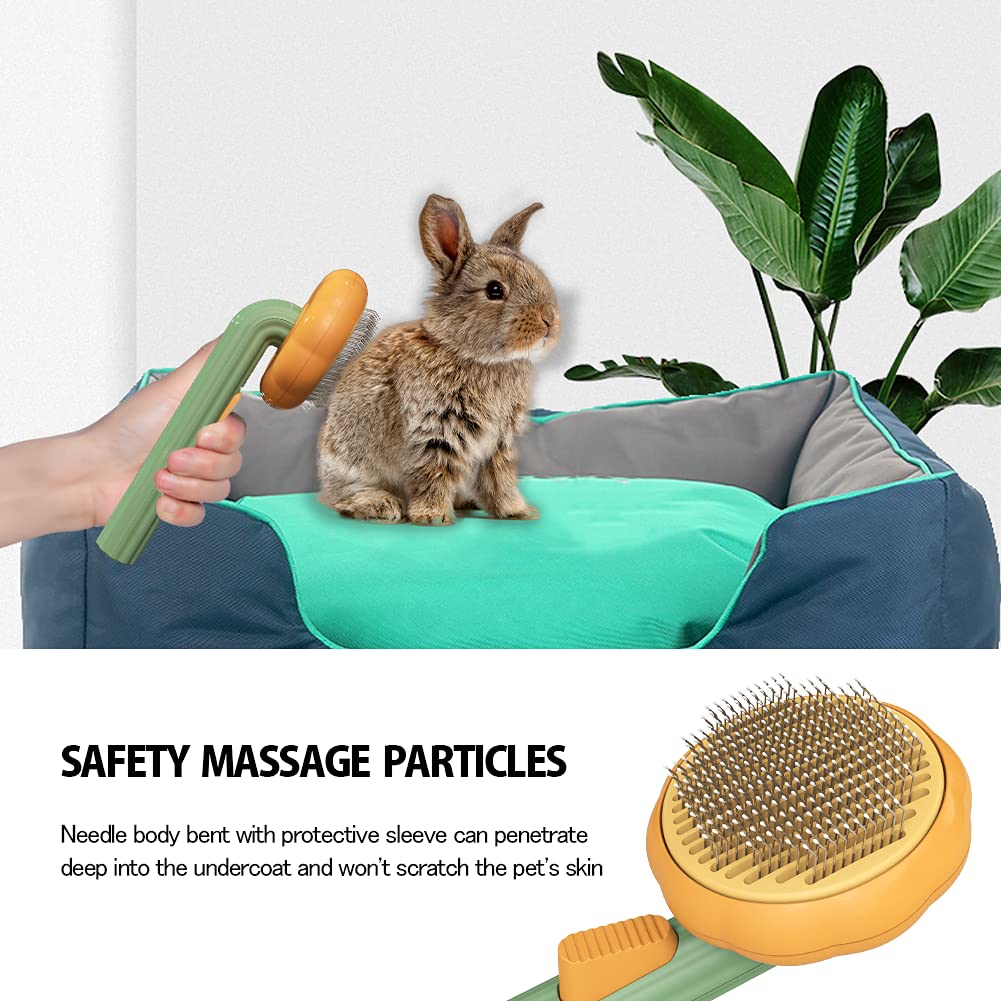 Pumpkin Pet Slicker Brush