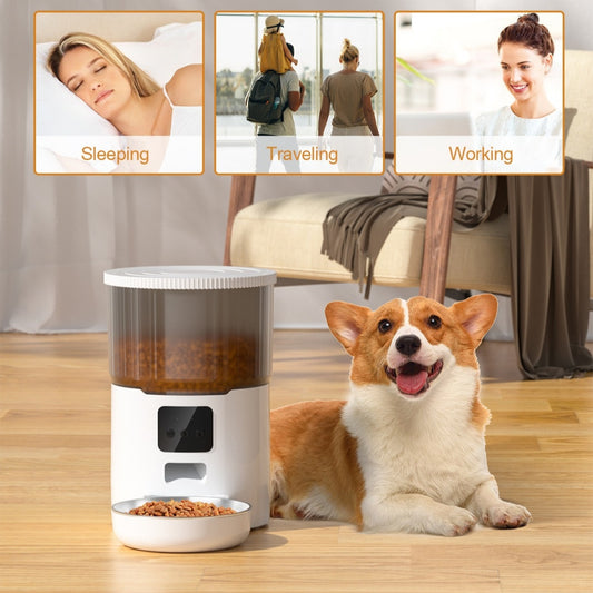 Smart Cat Dog Feeder