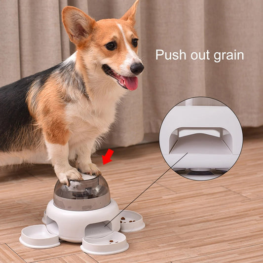 Automatic Dog Food Feeder
