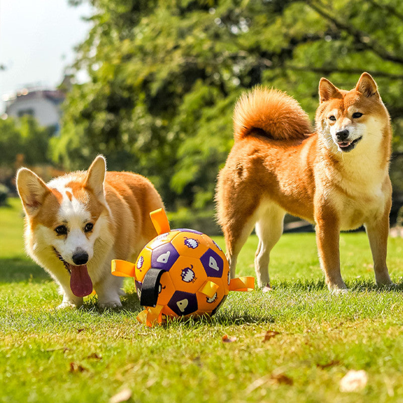 Pet Interactive Dog Football Toy