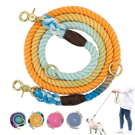 Gradient Dog Collar Set