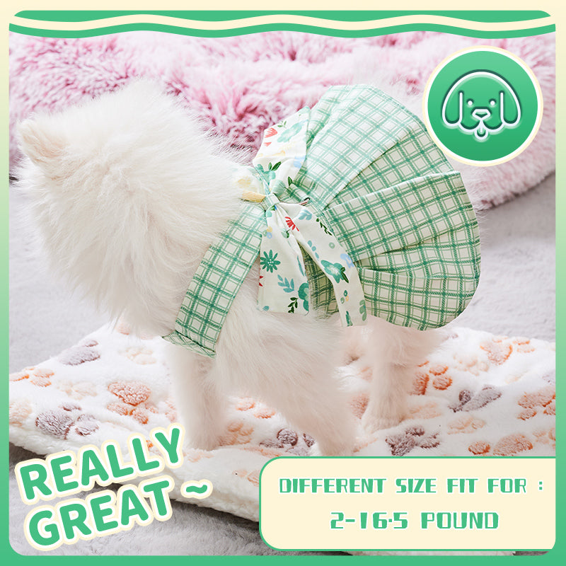 Summer Small Dog Outfit