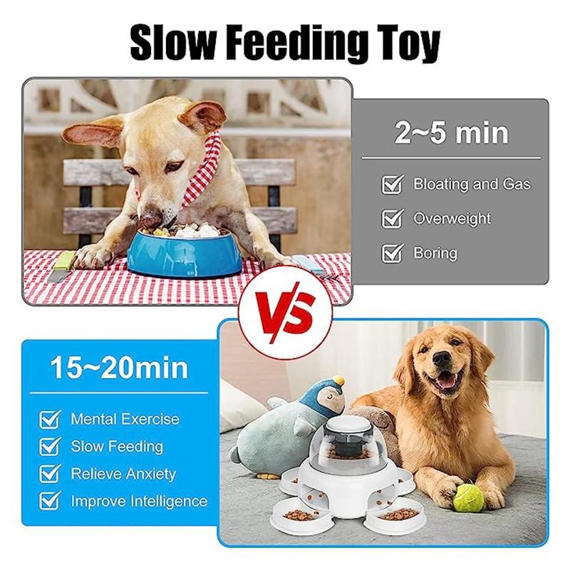 Automatic Dog Food Feeder