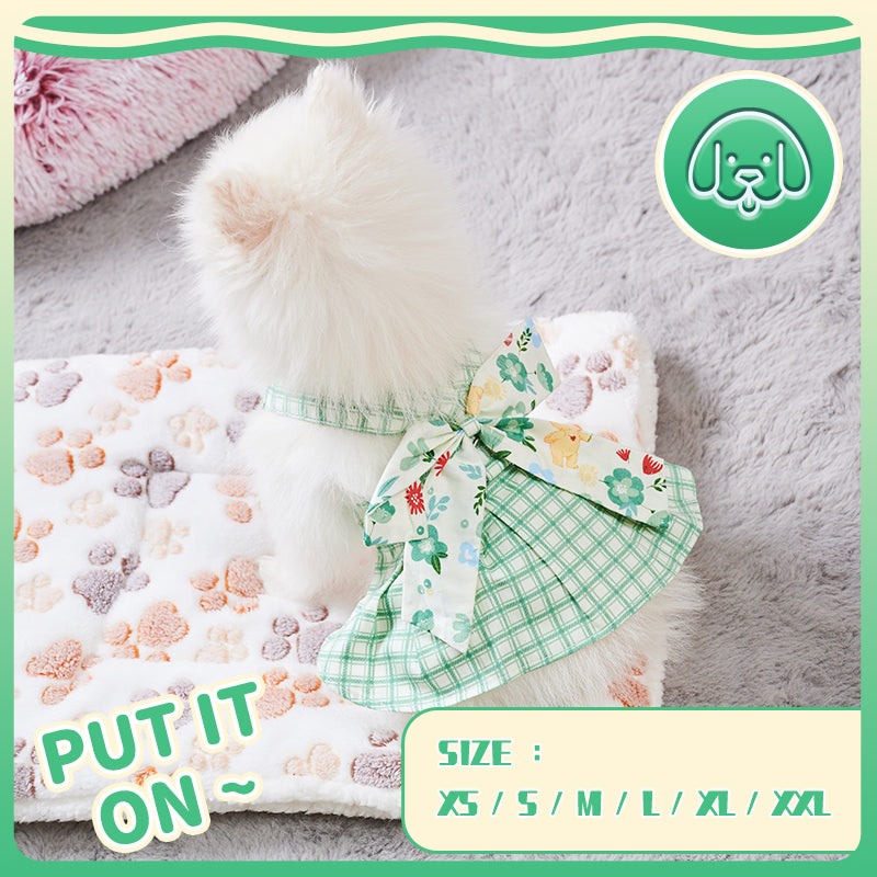 Summer Small Dog Outfit