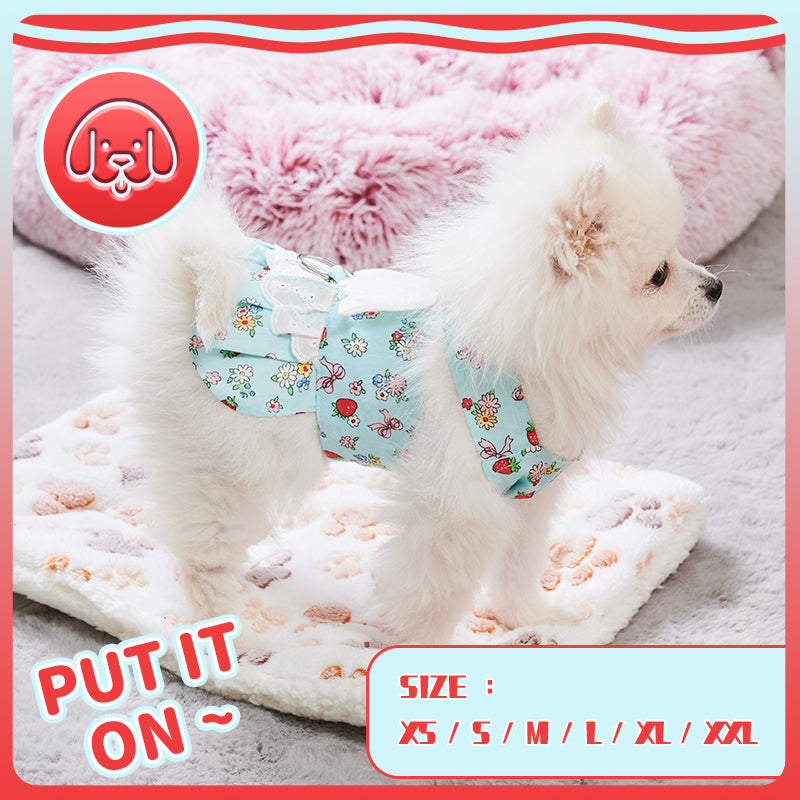 Harness Dress with Leash