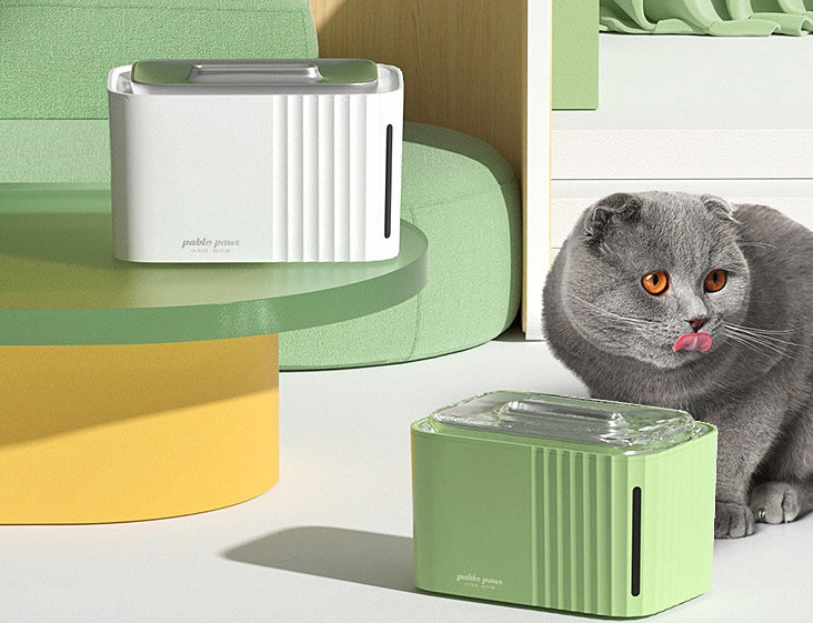 Avocado Pet Water Fountain