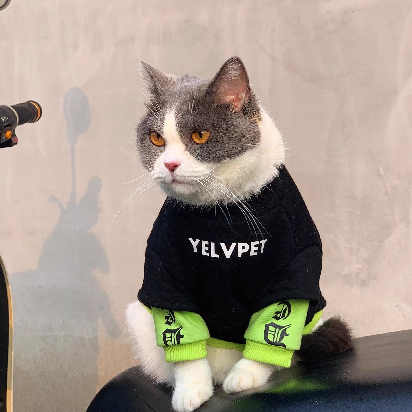 Pet Winter Clothes
