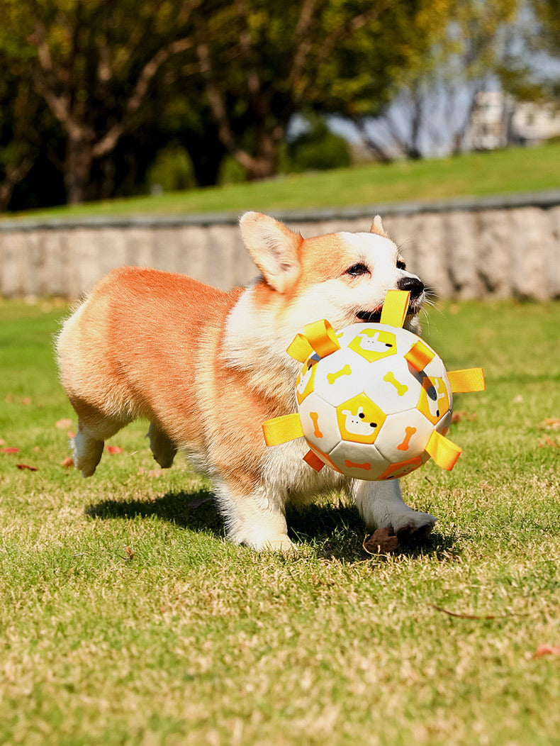 Pet Interactive Dog Football Toy