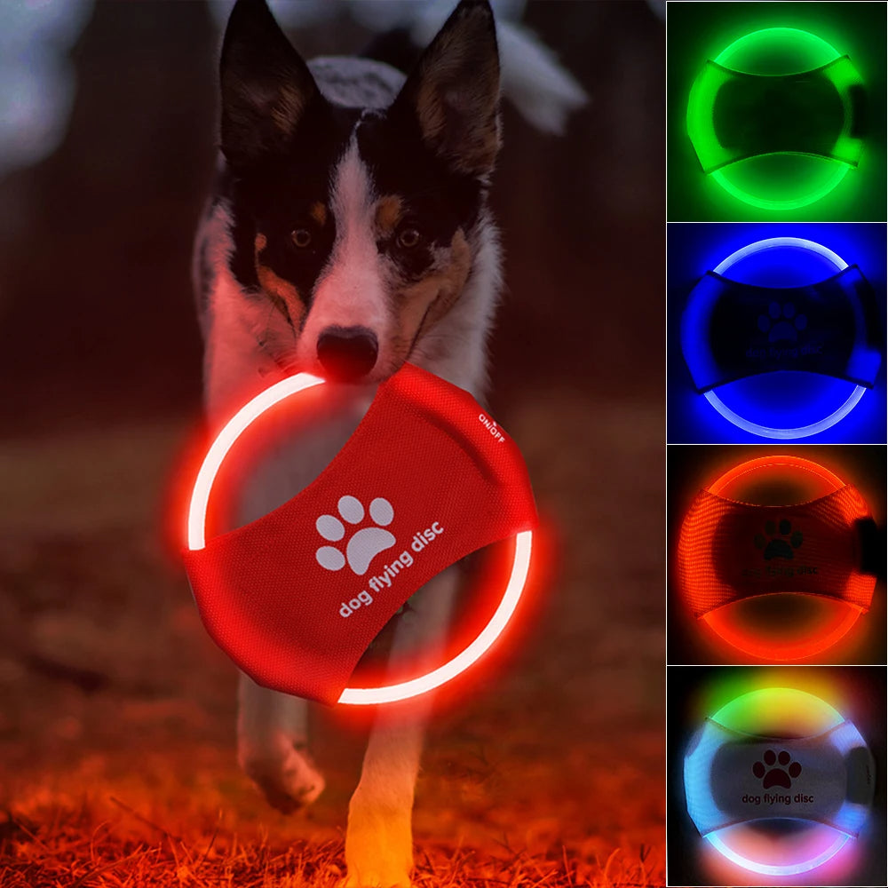 Dog LED Flying Disc