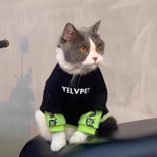 Pet Winter Clothes