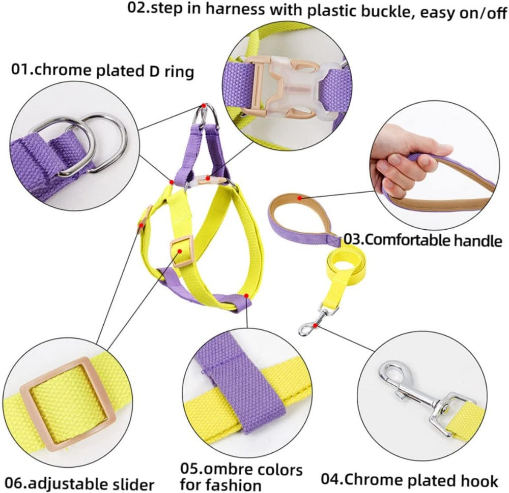 No-Pull Dog Harness Set