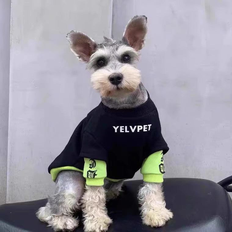 Pet Winter Clothes