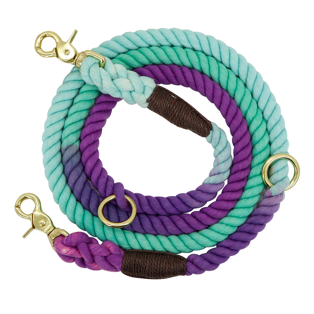 Gradient Dog Collar Set