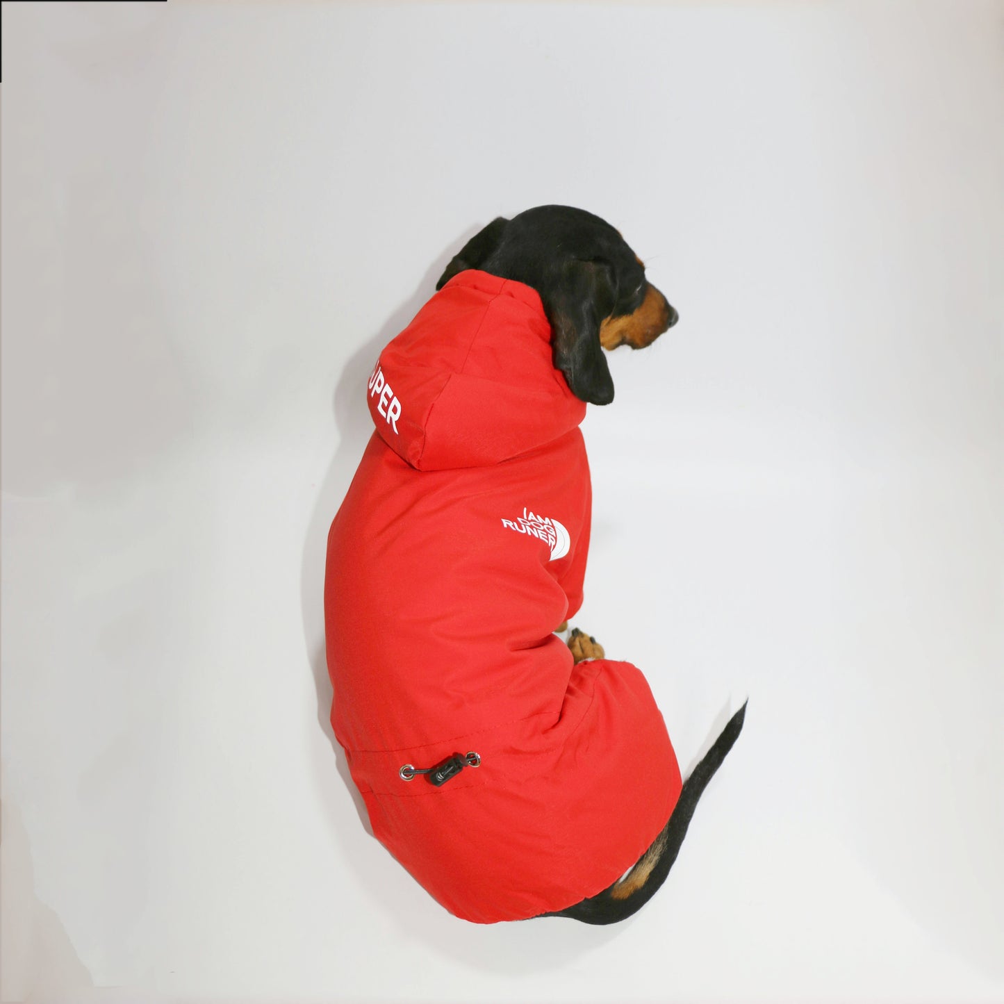 Reflective Winter Pet Suit
