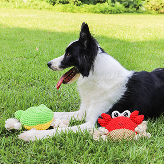 Interactive Dog Rope Toy