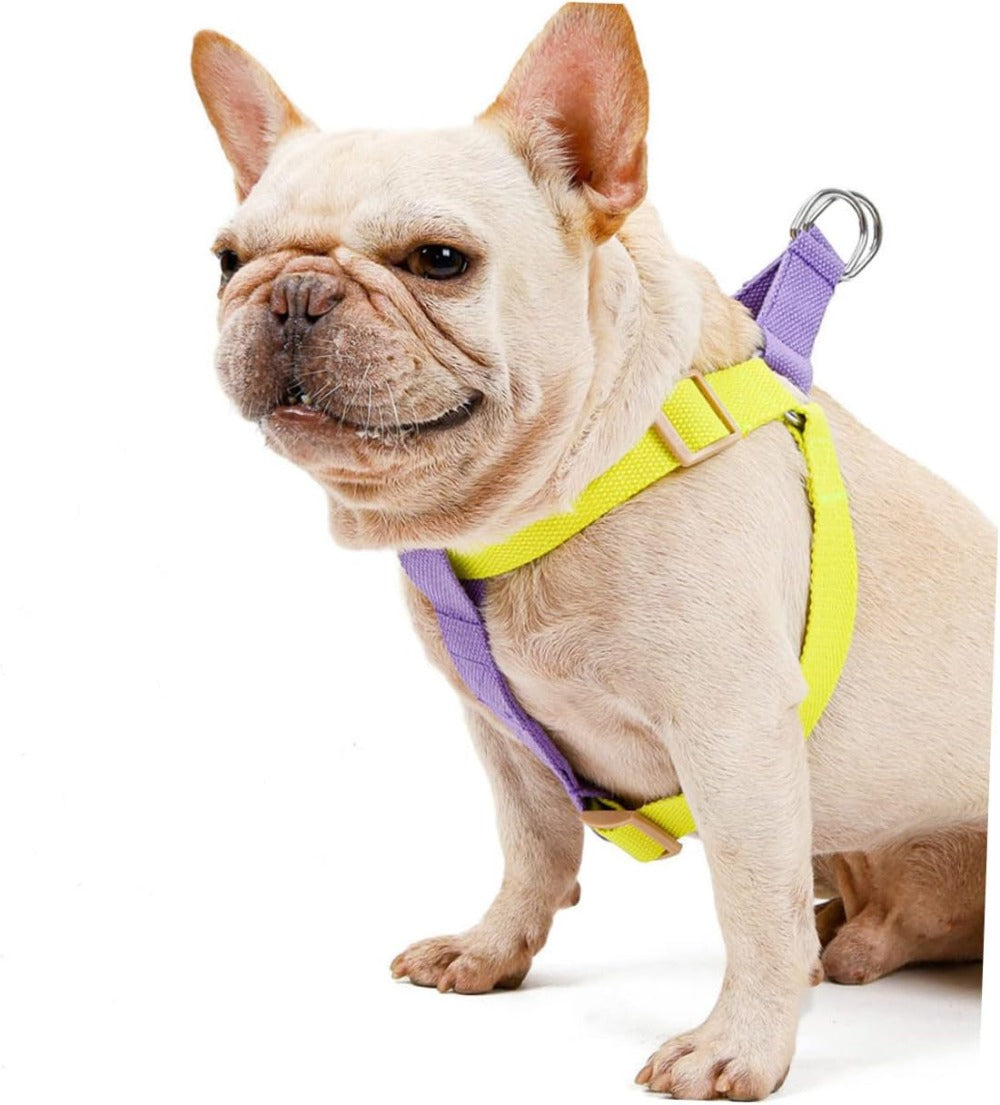 No-Pull Dog Harness Set