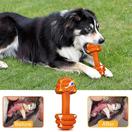 Durable Dog Chew Toy