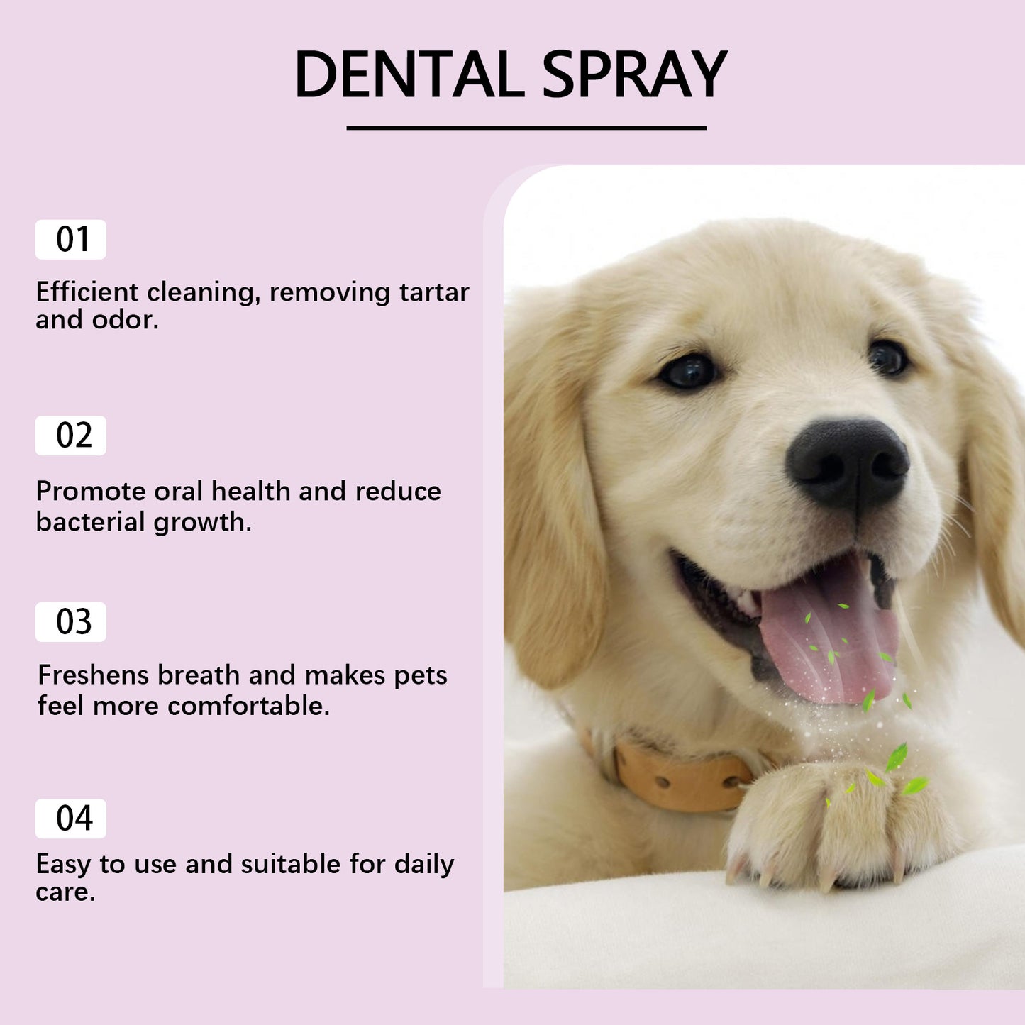 Pet Teeth Spray