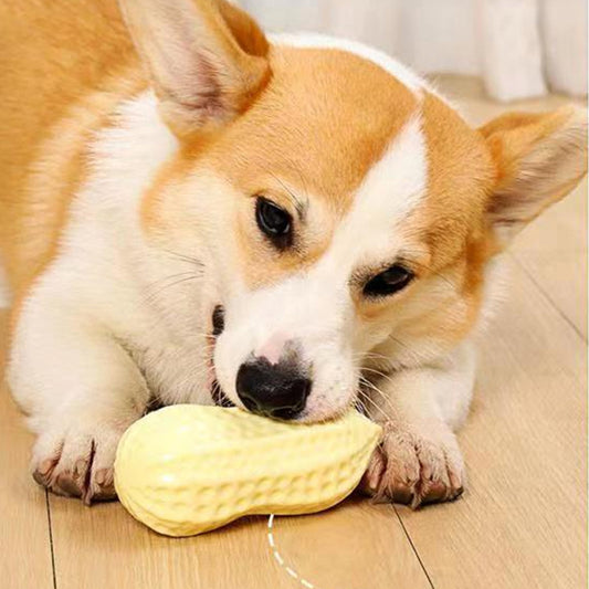 Dog Peanut Chew Toy