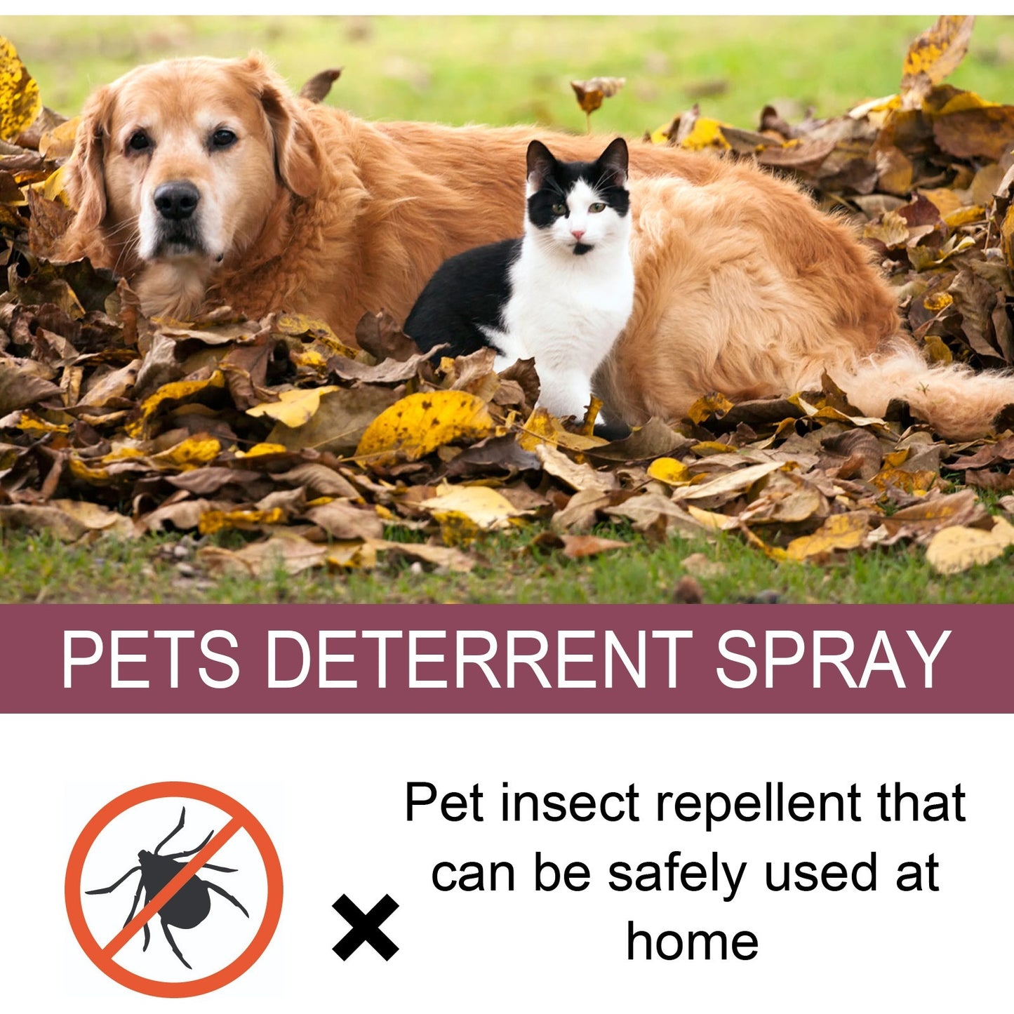 Pet Insect Repellent Spray