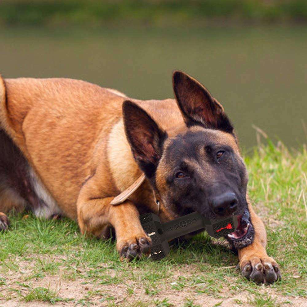 Durable Dog Chew Toy
