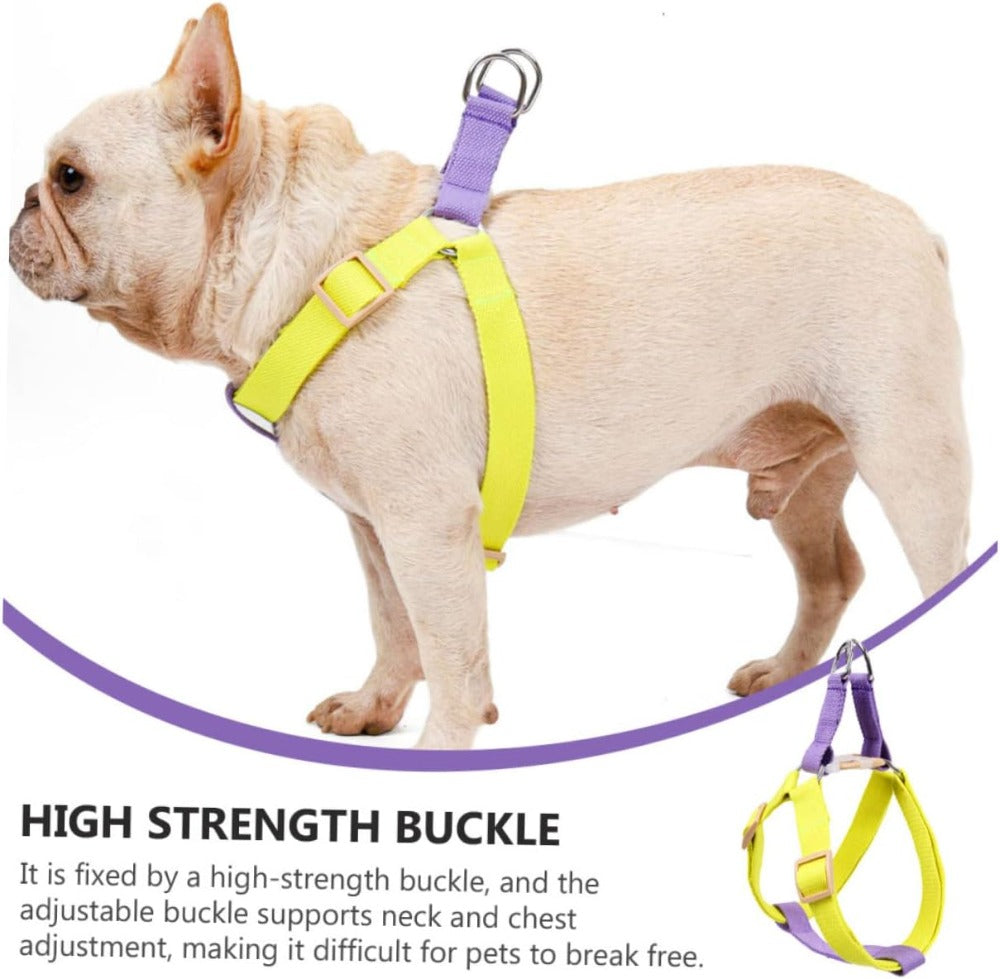 No-Pull Dog Harness Set