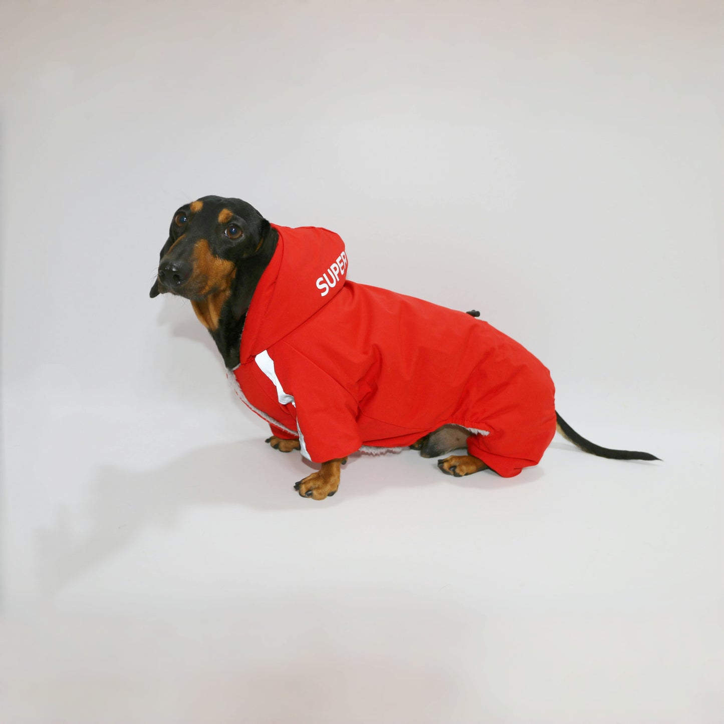 Reflective Winter Pet Suit