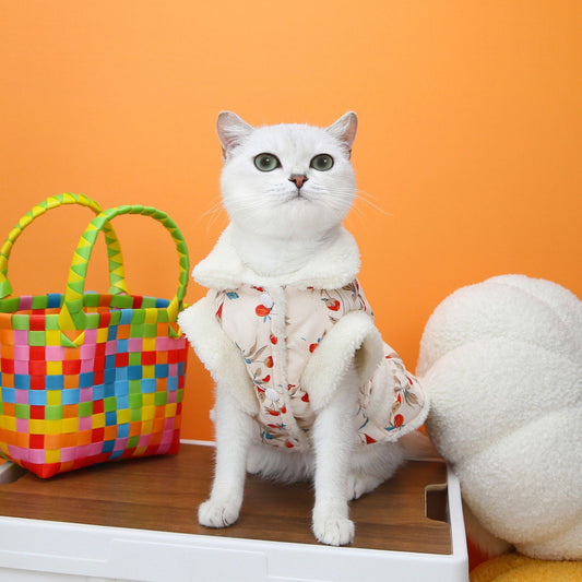 Pet Cat Winter Clothes