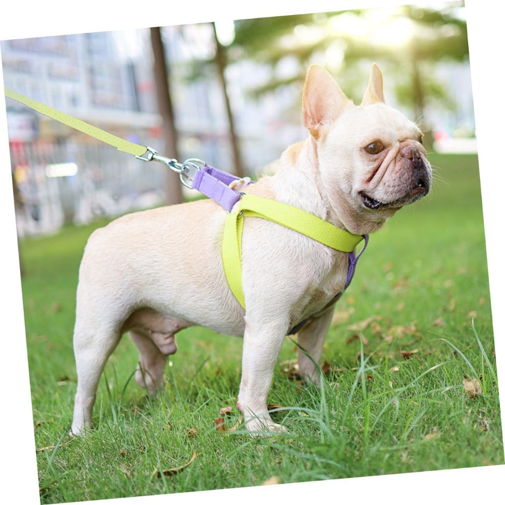 No-Pull Dog Harness Set