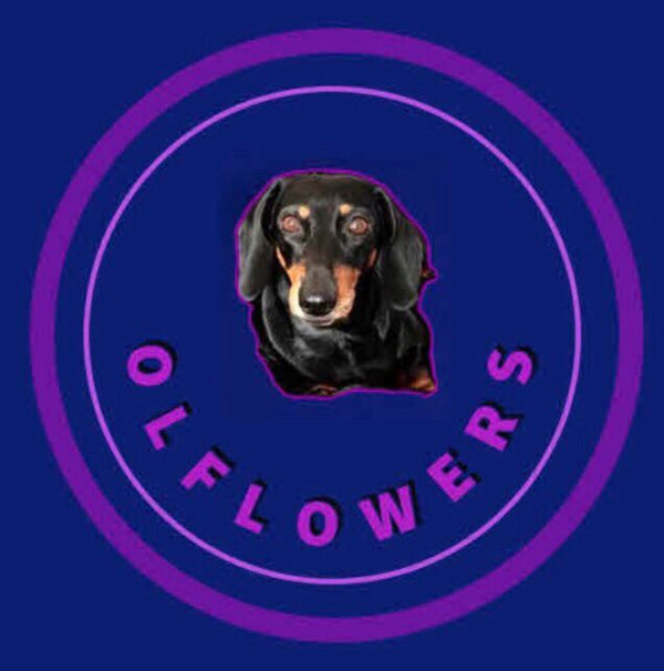 Family "OLFLOWERS" for pet