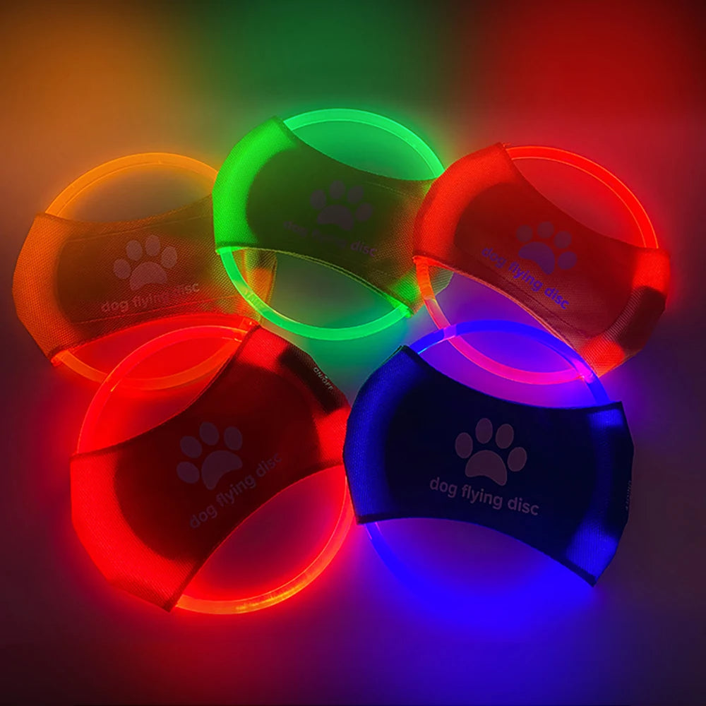 Dog LED Flying Disc