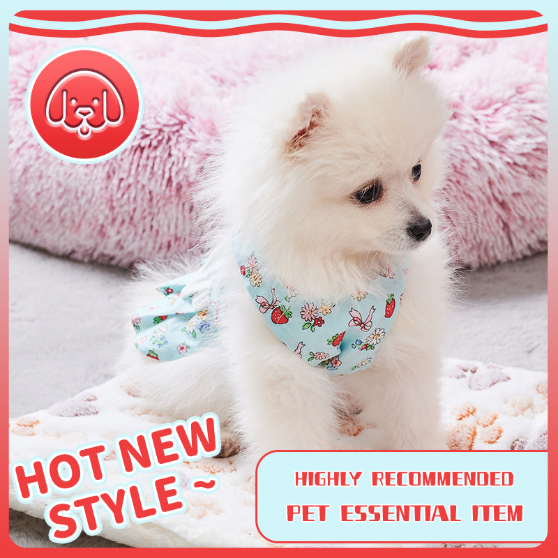 Harness Dress with Leash