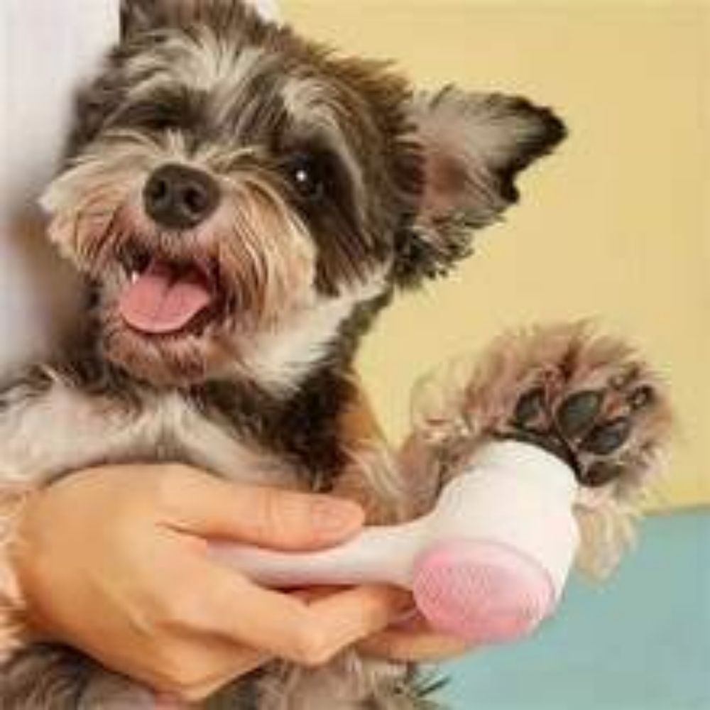 Pet Paw Brush Tool