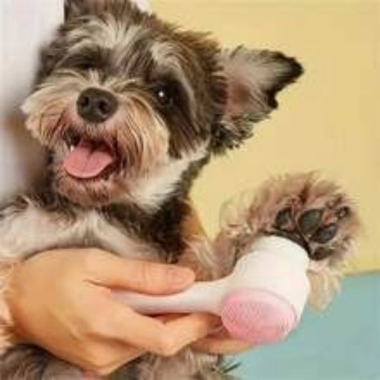 Pet Paw Brush Tool