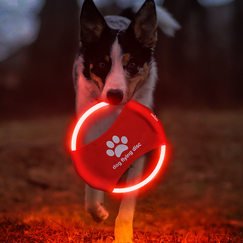 Dog LED Flying Disc