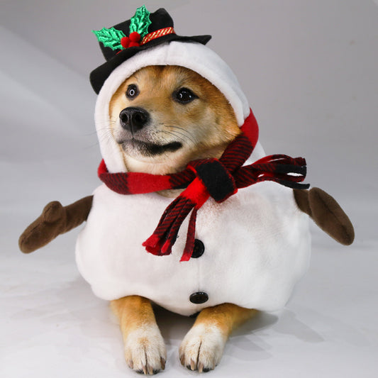Christmas Halloween Pet Costume