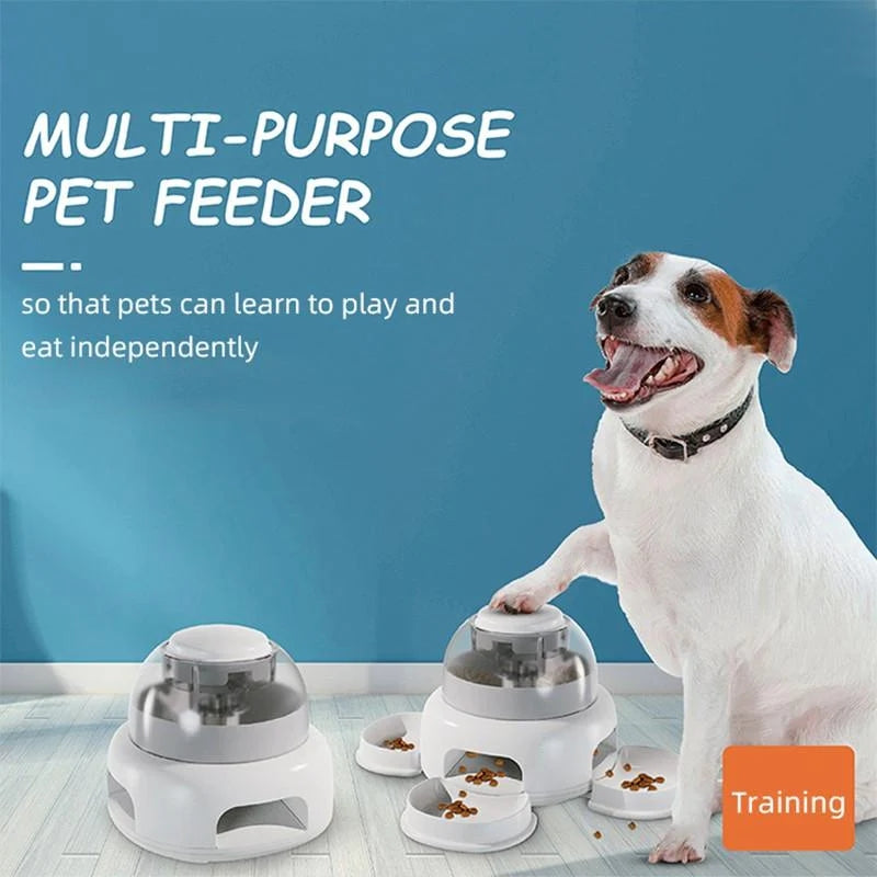 Automatic Dog Food Feeder