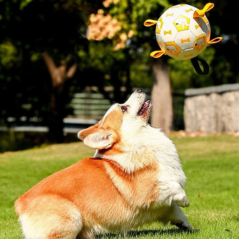 Pet Interactive Dog Football Toy