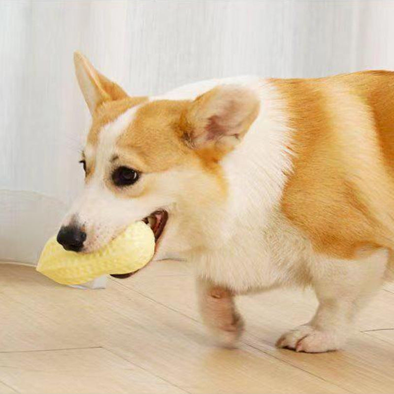 Dog Peanut Chew Toy