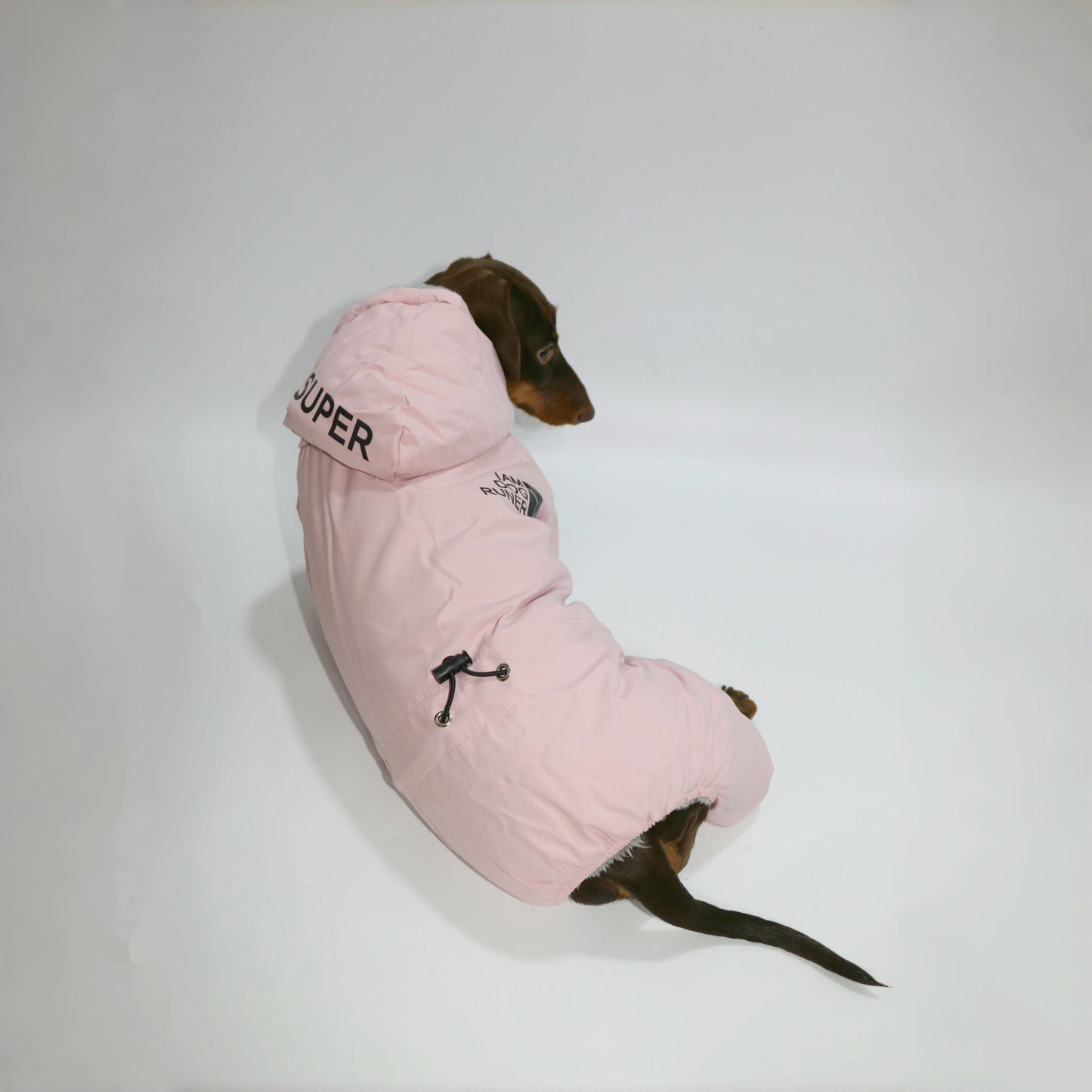 Reflective Winter Pet Suit