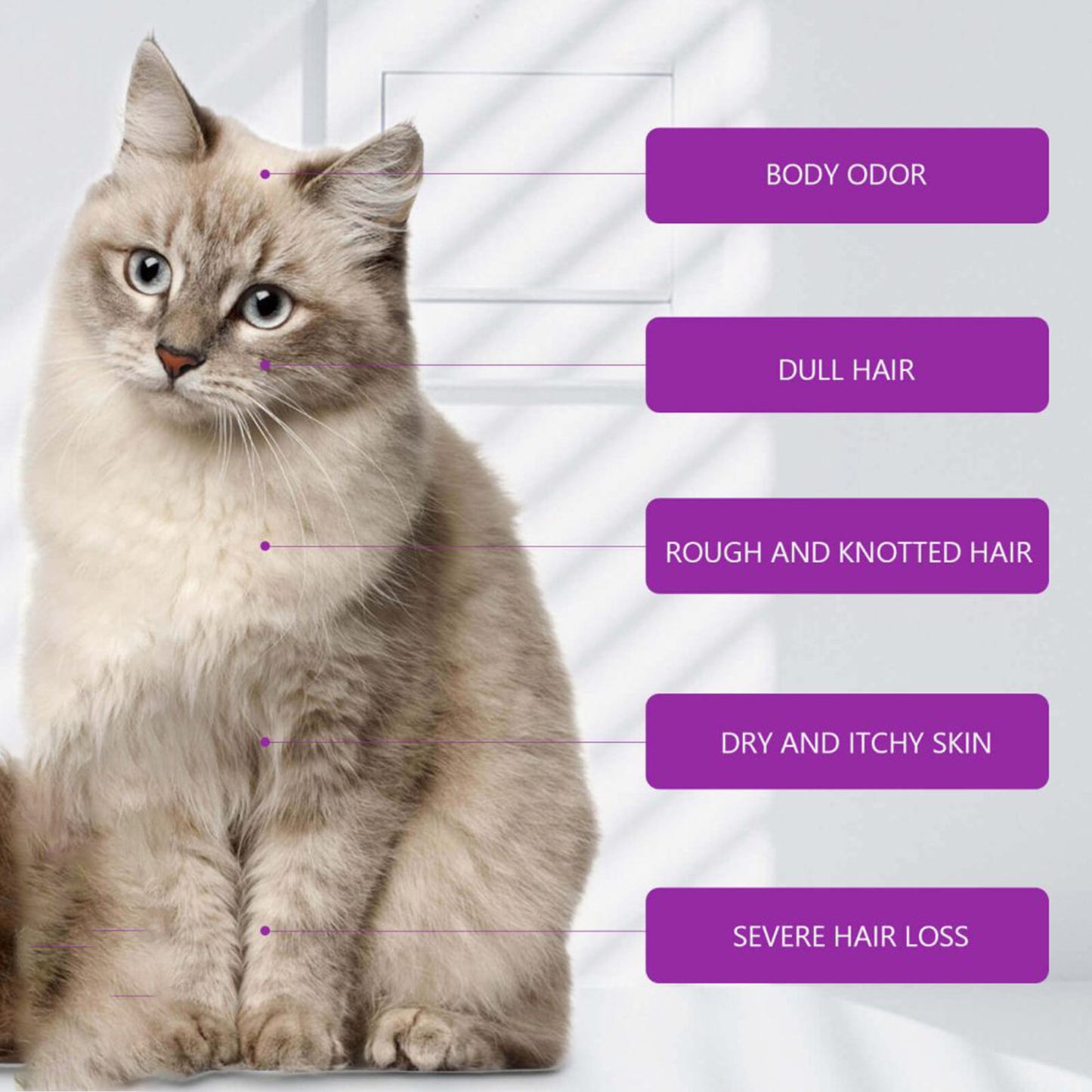 Pet Itch Relief Shampoo