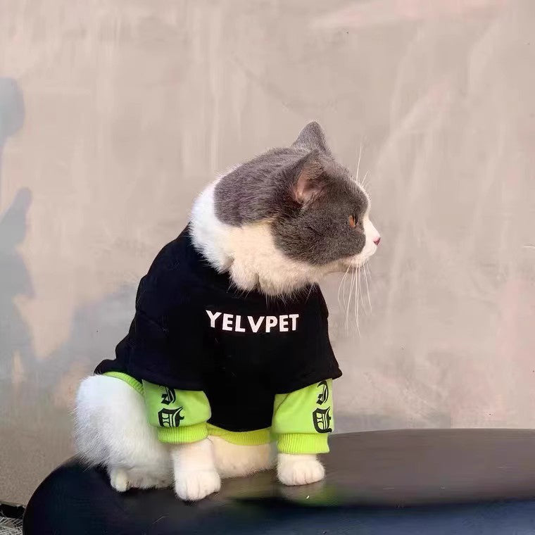 Pet Winter Clothes